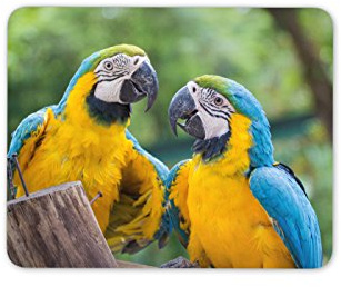 Destination Vinyl Ltd Macaw Birds Mouse Mat Pad - Parrot Tropical Bird Parot Gift PC Computer #8597