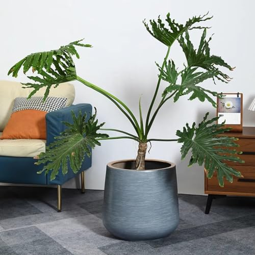 FGJKKRMI Large Ceramic Flower Pots With Drainage Hole And Saucer, Modern Blue Flower Pots Round Decorative Planter Indoor Outdoor, For Succulents/Snake Plant/Orchid/Peace Lily/House Plants