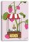 Printistico Leinwandbild (60x80cm) Biene verkauft Himbeer-Marmelade - Süße Tierzeichnung für das Kinderzimmer by Lina D.
