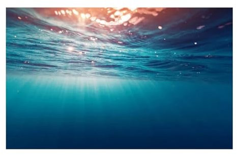 MZPOZB Juwel Rückwand 3D Aquarium Hintergrund Poster PVC Kleber Aufkleber Aquarium Unterwasser Welt Hintergrund 3D Ozean Meer Pflanzen Hintergrund Aufkleber(Black,50x100cm)