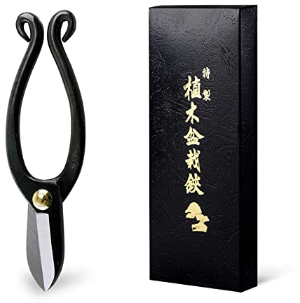 Hanafubuki Ikenobo Ikebana Blumenschere, hergestellt in Japan, 165 mm, japanisches Blumenarrangeing-Werkzeug, Kado Hasami-Schere Japanisch 6.5inch/165mm Ikenobo Schwarz
