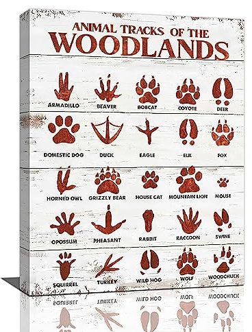 Farmhouse Animal Tracks Wandkunst Country Woodland Decor Bilder Rustikaler Leinwanddruck Gemälde Modern Home Badezimmer Dekorationen Gerahmtes Kunstwerk 30,5 x 40,6 cm