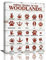 Farmhouse Animal Tracks Wandkunst Country Woodland Decor Bilder Rustikaler Leinwanddruck Gemälde Modern Home Badezimmer Dekorationen Gerahmtes Kunstwerk 30,5 x 40,6 cm