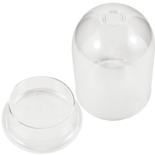 Kichvoe Glas-Cloche-Ausstellungskuppel Dekorative Glasglocke Klarglas-Kuppelvitrine Mit Sockel Für Terrarienpflanzen Medaillen Fotos Antike Sammlerstücke Spielzeuge 17 cm