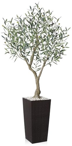 SOGUYI 6FT Artificial Olive Tree - UV Resistant Faux Plant for Indoor & Outdoor Decor - Fake Floor Plant in Espresso Brown Taper Planter