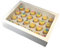 LarryRoo Premium Mini-Cupcake-Boxen mit Sichtfenster für 24 Cupcakes und Einsätzen, ultraweiß, 5 Stück, 33 cm, modern