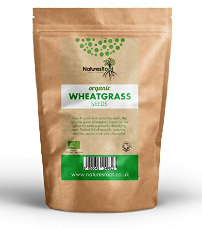 Natures Root Organic Wheatgrass Sprouting Seeds 1kg - Superfood | Non GMO | Microgreen Sprouts | Garden Planting | Wheat Grass Juicing | Cat Grass