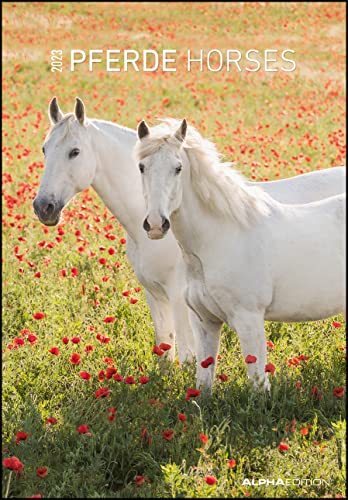 Pferde 2023 - Bildkalender 23,7x34 cm - Kalender mit Platz für Notizen - mit vielen Zusatzinformationen - Horses - Wandkalender - Alpha Edition