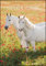 Pferde 2023 - Bildkalender 23,7x34 cm - Kalender mit Platz für Notizen - mit vielen Zusatzinformationen - Horses - Wandkalender - Alpha Edition