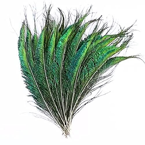 WANYIG 25 Stücke Natürliche Echte Pfauenfedern 25-30CM Pfauenschwanzfedern mit Öse zum Basteln Deko Federn Dekorationen für Hochzeit Weihnachten Halloween Karneval Party Deko (Stil 2)