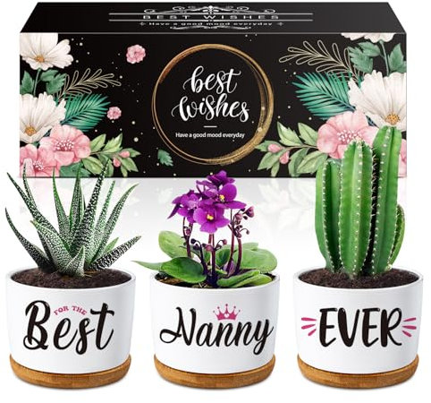 Buioata Gifts for Nan - Succulent Planters Nanny Gifts, Touching Sayings Engraved Gifts for Nanny, Nan birthday gifts, Nan Gifts for Birthday Christmas Thanksgiving Mothers Day