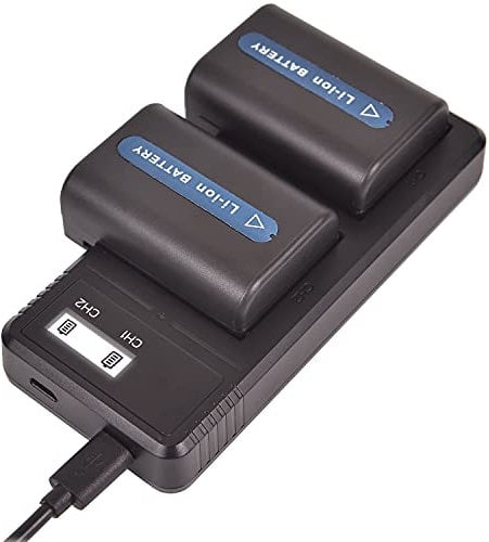(2 Pack) NP-FM55H NP-FM50 DSTE Replacement Battery + Fast Charging Dual LCD Charger Compatible with Sony NP-FM30,NP-FM51,NP-QM50,NP-QM51