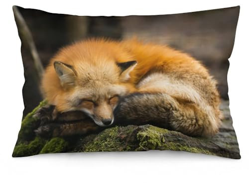 Kissenbezug mit süßem Tier, roter Fuchs, dekorativ, 50 x 75 cm, weiches Polyester, quadratisch, 1 Stück