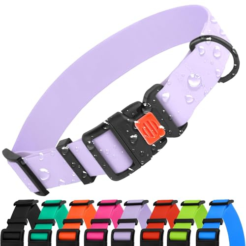 CollarDirect Wasserdichtes Hundehalsband Verstellbar – Silikon & Kunststoff, Geruchsresistent, Leicht zu Reinigen, Sicherheitsverschluss – für kleine, mittlere & große Hunde (Lila, M (30-40 cm))