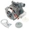 Beko Lamona Leisure 1740701900 - Motor de bomba de recirculación para lavavajillas