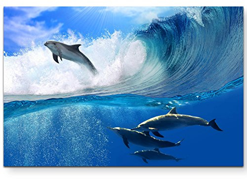 Paul Sinus Art Leinwandbilder | Bilder Leinwand 120x80cm spielende Delfine im Meer