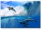 Paul Sinus Art Leinwandbilder | Bilder Leinwand 120x80cm spielende Delfine im Meer