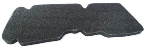 FILTRO ARIA LIBERTY 2T PTTEURO 2 50 2004 2005 2006