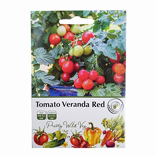 Tomato Veranda Red F1 Seeds in Pictorial Packet - 10 Seeds