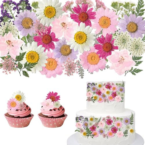 CENCERY 40 Pezzi Fiori Secchi Naturali Rosa, per Decorazione Torte, Cupcake, Guarnizione Cocktail, Decorazioni Alimentari, Matrimoni, Compleanni e Feste (Rosa)