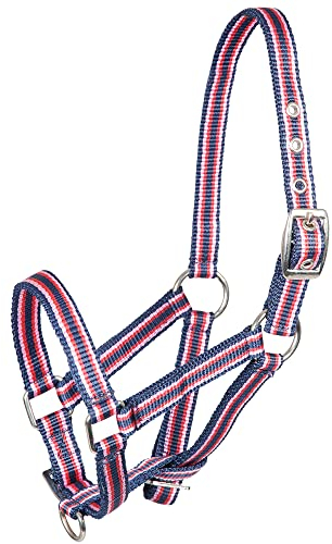 PFIFF 100996 Fohlenhalfter, Halfter für Fohlen Gestreift, Blau-Pink, Einheitsgröße