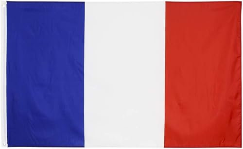 Drapeau Francais 2PCS Drapeau de la France Avec Oeillets Métalliques Drapeau Olympique 90 x 150 cm
