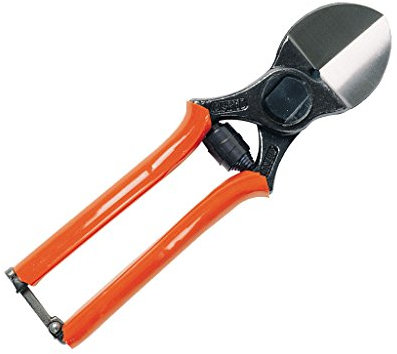 Lisam - Cesoie professionali per potare da giardino e per alberi, con lame a doppio taglio, 19 cm, art. 1/B