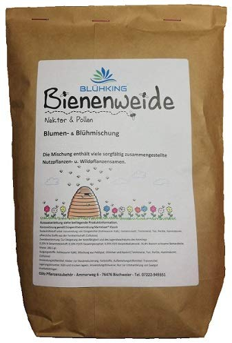500gr. Bienenweide Nektar & Pollen Blühmischung Blumenmischung Blumenwiese für bis zu 500m² von BLÜHKING®