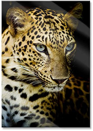 Pixxprint Glasbild, Wandbild aus Echtglas, Leopard mit blauen Augen, 60x80 cm, inkl. Aufhängung und Abstandshalter