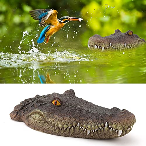 Sonhomay Tête d'alligator flottante - Fausse tête de crocodile - Accessoires de piscine pour étang - Décoration pour jardin - Protection de l'eau