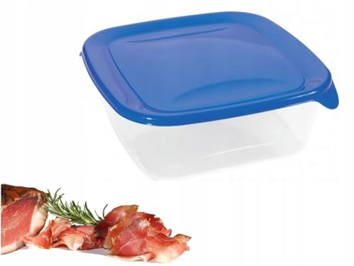 Curver 00559-139-01 Quadratische Frischhaltedose Fresh und Go, 0,8 L, transparent/blau