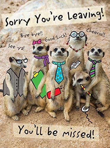Piccadilly Greetings Moderne, große Karte zum Abschied, 30,5 x 22,9 cm