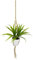 Künstliche Dracena in Hängeampel Dekopflanze Deko Blume Pflanze Grünpflanze hängend Blumenampel Wand Blumentöpfe zum Aufhängen Pflanzenhalter Seil Seidenblume Real Touch grün Kunstpflanze Büropflanze