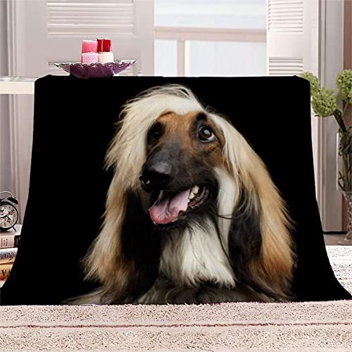 Kuscheldecke flauschig Flanell 200x200cm 3D Afghanischer Windhund Gedruckte Fleecedecke Weich Decken Mikrofaser Wohndecke Tagesdecke Dicke Sofadecke & Couchdecke Decke Sofa & Bett, für Kinder