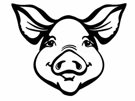 myrockshirt süßer Schweinekopf Schwein Schweinchen Talkie Aufkleber Sticker Wandtattoo in 15cm, 20cm,30cm o.40 cm