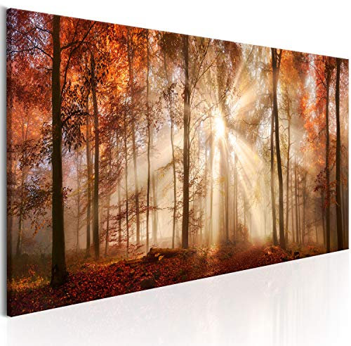 B&D XXL - Tableau décoratif paysage 150x50 cm - Impression sur toile colorée - Décoration murale pour salon et chambre - Brun arbres automne paysage forêt feuilles nature soleil c-B-0187-b-a