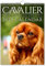 The Calendar King // Cavalier King Charles Wandkalender 2025, A4