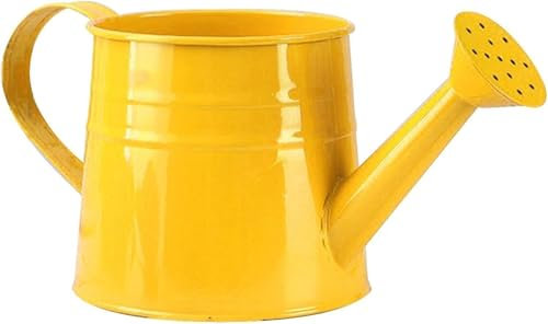 Gießkanne klein für den Zimmerpflanzen 1L, Blumengießkanne aus Metall, Giesskanne Pflanzengießkanne, kleine Gießkanne, Gartengießkanne Watering Can Blumentöpfe Kleine Vasen Gartenwerkzeug (Gelb)