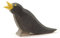 Ostheimer 16801 - Amsel