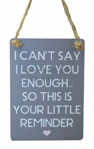 Mini Metal Hanging Sign - I cant Say I love you Enough