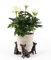 Potty Feet Chihuahua Figures Plant Pot Feet - Planter Support - Handmade Decorative Ornaments - 3pcs