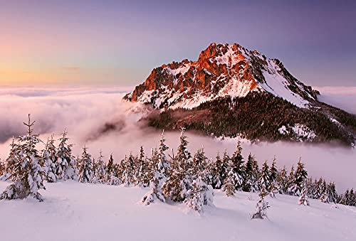 Fototapete Alpen Berge Wald Schnee Landschaft Schlafzimmer Wohnzimmer | 3,84 m x 2,6 m | Weiß, Braun, Grün, Gelb