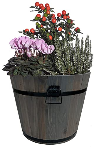 Holz Pflanzkasten M 31,5cm Shabby Kräuterbeet Balkonkasten