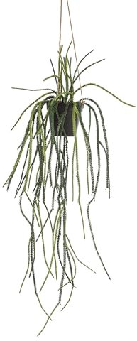 La Green Touch Rhypsalis Künstlicher Kaktus, Koralle, Höhe 85 cm, Durchmesser 15 cm