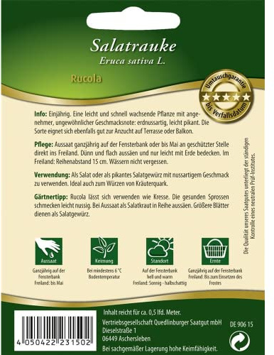 Quedlinburger Saatgut Salatrauke Rucola Samen - Salatraukesamen