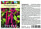 Seedeo® Fuchsschwanz (Amaranthus caudatus) 500 Samen