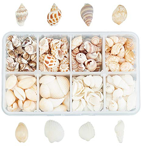 SUPERFINDINGS 244 Stück 8 Stile Natürliche Muschel Perlen kleine Muschel Mini Muschel Dekoration Muschelschalenperlen Gemischte Ozean Spiral Muschelperlen Perlen Muschelperlen ohne Löcher