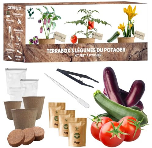 NOPALIA® Kit de huerto listo para crecer – Semillas orgánicas (tomate, calabacín, berenjena) – Jardín interior y exterior – Regalo original de jardinería DIY – Decoración ecológica – Made in France