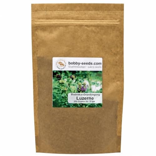 Gärtner's erste Wahl! Bobby-Seeds Gründüngung Luzerne Bodenkur, 250 g für ca. 75 m², Saatgut ohne Gentechnik, Zwischenfrucht trockenheitsverträglich, als Untersaat geeignet