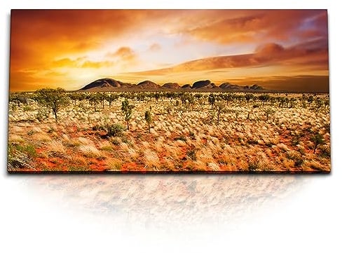 Paul Sinus Kunstdruck Bilder 120x60cm Australien Outback Landschaft Steppe Rot Abendröte
